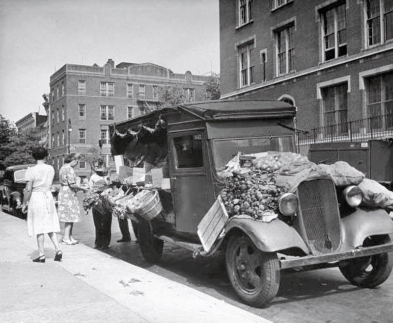 Vegetable Man
